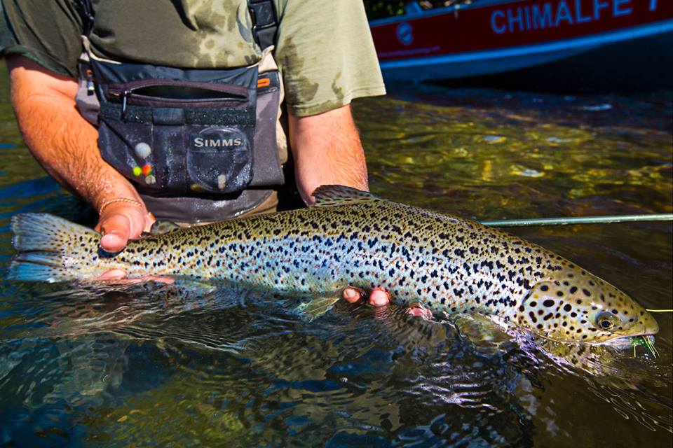 Pesca Con Mosca Patagonia Chile