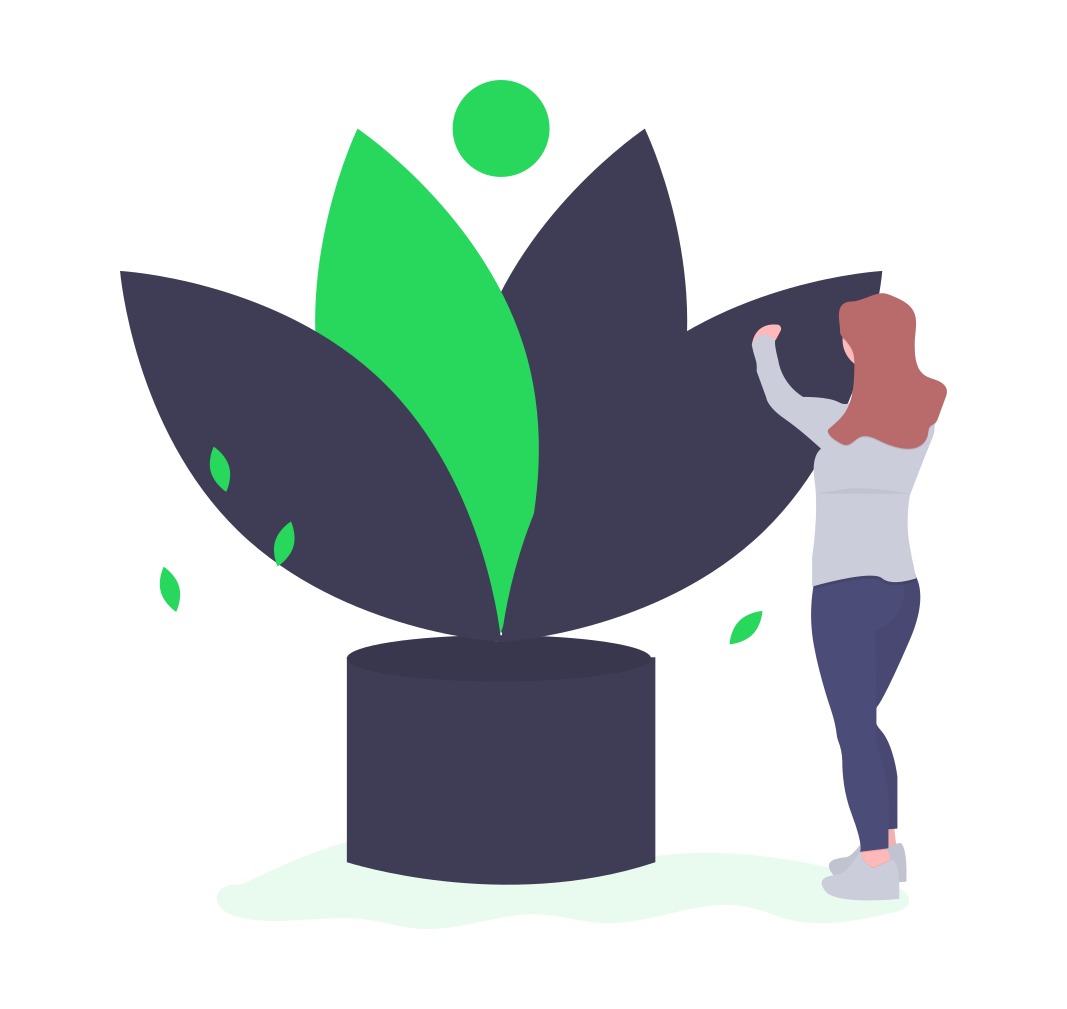 icon product image