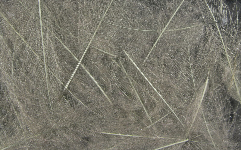 icon product image